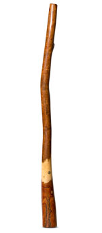 Wix Stix Didgeridoo (WS181)